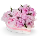 Květinový box pivoňek